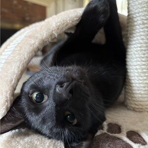 A Giveaway From General Hux